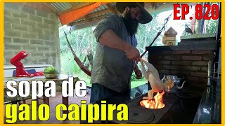 limpei um galo caipira pra ju fazer uma sopa