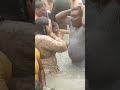 short videos viral ganga sanan