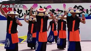 枕崎よさこい祭り2017・天晴れやまびこ元氣組