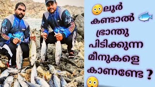 ഇങ്ങനെയും ഉണ്ടോ മീനുകൾ ? / skipjack tuna and blue fishing in oman