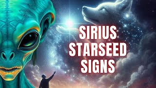 Are You a Sirian Starseed? 20 Signs You Are Connected to Sirius and Your Cosmic Mission