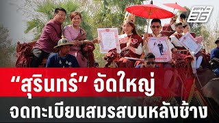 คู่รักชื่นมื่น วันวาเลนไทน์ 2567 จดทะเบียนสมรสบนหลังช้าง | PPTV Online