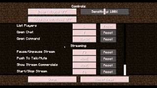 Minecraft: Basics! - The Options Menu!
