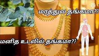 மனித உடலில் தங்கம் இருக்கா?? || interesting facts about gold || top 10 || Tamil ❤️😘