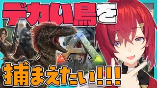 【ARK】アルゲンを捕まえてモテる拠点に引っ越し隊【にじさんじ/アンジュ・カトリーナ】