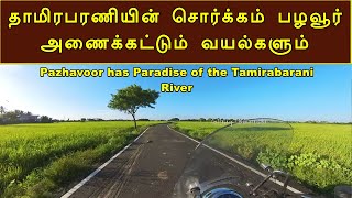 தாமிரபரணியின் சொர்க்கம் பழவூர் அணைக்கட்டும் வயல்களும் Pazhavoor has paradise of the tamirabarani