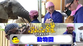 ぷぁぷぁ金星Classic『動物園』