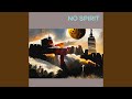 No Spirit