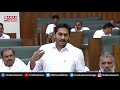 ప్రపంచంతో పోటీ పడుతున్న అమూల్ cm jagan speech about amul dairy ap assembly live mahaa news