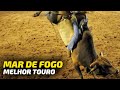 MAR DE FOGO o MELHOR TOURO - 15ª  Etapa do CRP 2020 / Live Burguesa