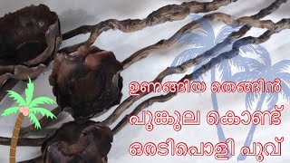 വീട്ടിൽ ഉണങ്ങിയ തെങ്ങിൻ പൂങ്കുലയുണ്ടോ എങ്കിൽ ഇതൊന്ന് പരീക്ഷിച്ചു നോക്കു