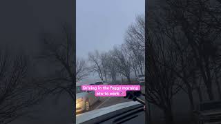 Driving in foggy weather #music #everyone #snow #highlights #reels #shortvideo #shorts