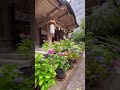 大阪のオフィス街にある紫陽花スポット・坐摩神社 ikasuri shrine osaka🇯🇵 大阪 本町 坐摩神社 紫陽花