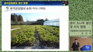 [한국임업진흥원]송이소나무 생산 및 산지 이식 방법_201311