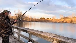 #озеро #природа #newvideo #fishing #рыбалка #nature #fish #familytime #like #lake