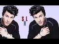 Download Shawn Mendes If I Cant Have You Live On Saturday Night Live mp3
