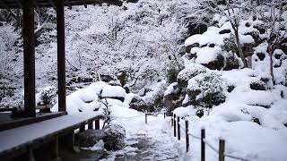 金剛輪寺 雪の庭園を歩く