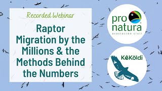 Raptor Migration by the Millions and the Methods Behind the Numbers