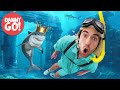Sharks in the Water 2: Rise of the Shark King! 🦈 Floor is Lava Game | Danny Go! Songs for Kids