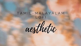 aesthetic tamil- malayalam lofi songs to relax 🎧