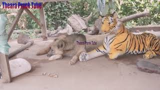 Fake Tiger with Real Prank Dog  Funny Video