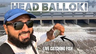 Live Fishing 🎣 | Amazing Trip To Head Balloki #mrnaveed #fishing #cooking