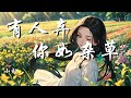 有人弃你如杂草 - 小灿【有人弃你如杂草 有人视你如珍宝 你很好别为错的人弯腰】【动态歌词 Lyrics】【拼音歌词】【抖音歌曲】