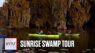 The beauty of a sunrise tour in the Louisiana swamps