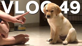 HE LEARNT THE CUTEST TRICK - VLOG 49