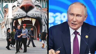 Putin gifts zoo animals to North Korea