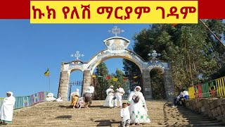 ኩክ የለሽ ማርያም ገዳም ጥር 21/2015 ደጅዋን ለመርገጥ ታብቃቹ!🙏#seifu on ebs#Addis abeba#ARTS TV#LTV Ethiopia #kana tv