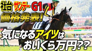 【社台・サンデー・G1】募集馬リスト発表時に気になった馬たちの価格はどうだった？【節約大全】Vol.769