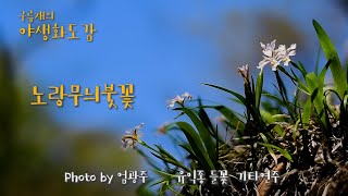 야생화도감/노랑무늬붓꽃                                                                유익종/들꽃/기타연주/Iris /한국의야생화