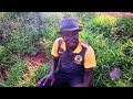 Baba nndwele by Ravusto