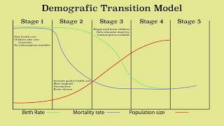 demographic transition model and population growth & decline