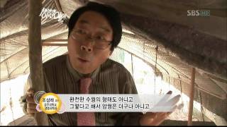 순간포착 세상에 이런일이(664회)_07