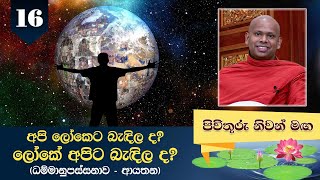 16) අපි ලෝකෙට බැඳිල ද ? ලෝකේ අපිට බැඳිල ද ? (ධම්මානුපස්සනාව - ආයතන) | Pivithuru Niwan Maga