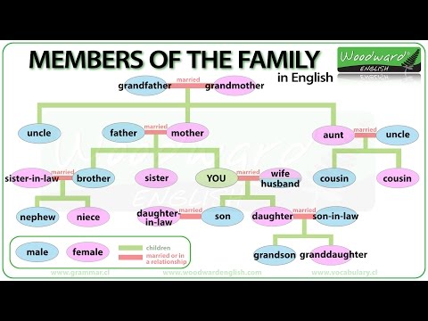 What is an aunt and uncle called together?