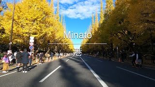 [4K] Minato 港 [Tokyo 東京] [Drive ドライブ] #1178