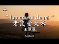 lao shu ai da mi 老鼠爱大米 cover wang binbin 王濱濱 lirik lagu lyrics yang chengang 杨臣刚