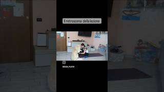 Il retroscena della lezione 🐕 #fitness #allenamento #workout #pets