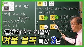 [중급] 66강 - 겨울 해자축월의 을목 특징 3탄 🍃