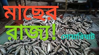 বিশাল মাছের রাজ্য! || সোয়ারিঘাট || Big Fish Market.