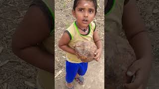 ஹே கோழி தள்ளி போ.. #shorts #fun #baby #vlog #coconut #shortsyoutube