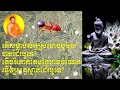 តើការសម្លាប់សត្វស្រមោចឫុមូសបាបដែរឫុទេ  ភិក្ខុ សាន សុជា  san sochea