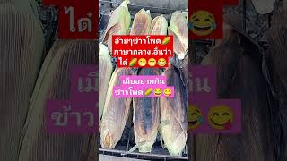 มาๆเด้อจ้าพี่น้องกินข้าวโพดย่างหวานแซ่บๆนำกันจ้า🌽😋#บ่าวสอน #ไวรัล#ตลก#ผู้สูงอาย#ฮาๆ#รีวิวของกิน🌽😋