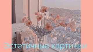 Подборка эстетичных фотографий/aesthetics