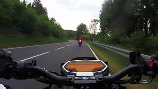 Auerhahn im Duo - Kawasaki Z1000/ Suzuki GSXR