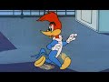 Run and Hide Woody! | 2.5 Hours of Classic Episodes of Woody Woodpecker