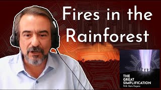 Amazon Deforestation, Animal Agriculture, & the Devastating Global Costs | André Guimarães | TGS 151